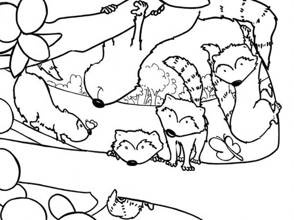 raccoon mario coloring pages - photo #39