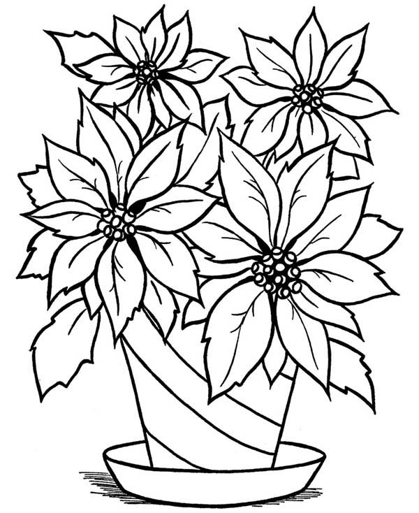 Blooming Flower in the Vase Coloring Page - NetArt