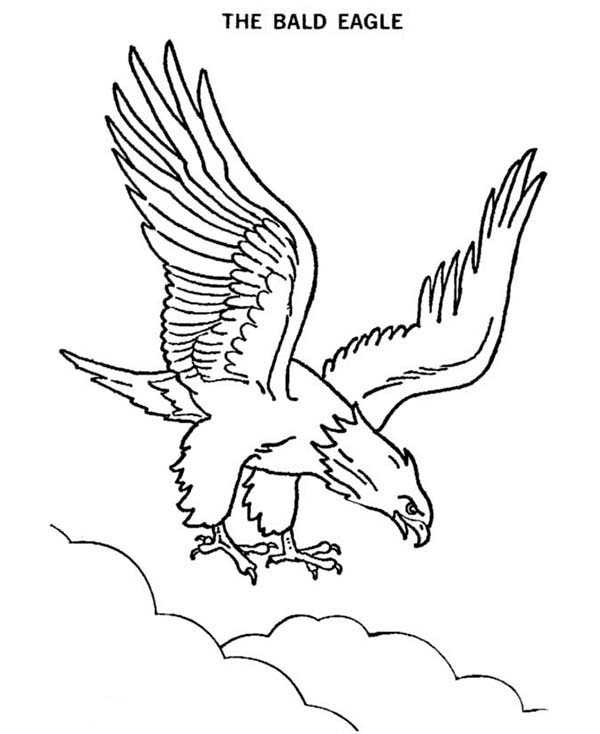 eagle coloring pages for preschoolers - photo #27