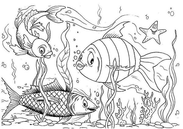 Happy Fishes in Fish Tank Coloring Page - NetArt