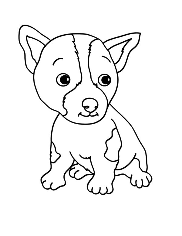 baby dog printable coloring pages - photo #7