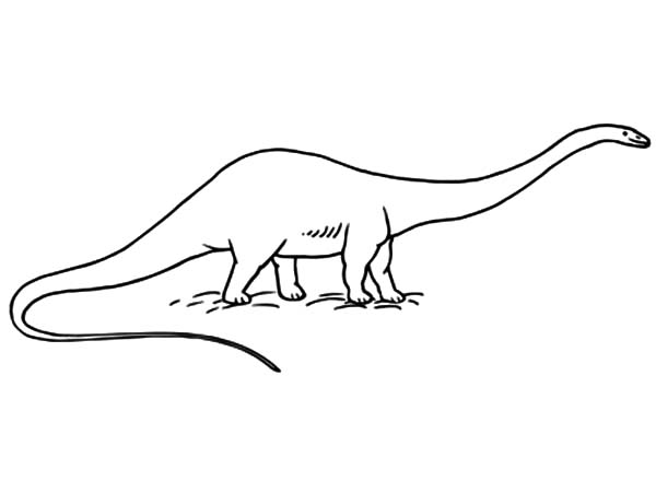 Diplodocus Dinosaur Coloring Pages - NetArt